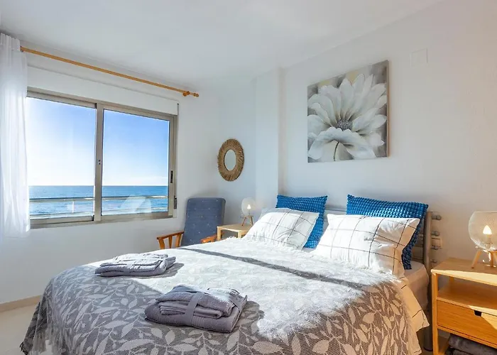 Apartment Pet Friendly In *