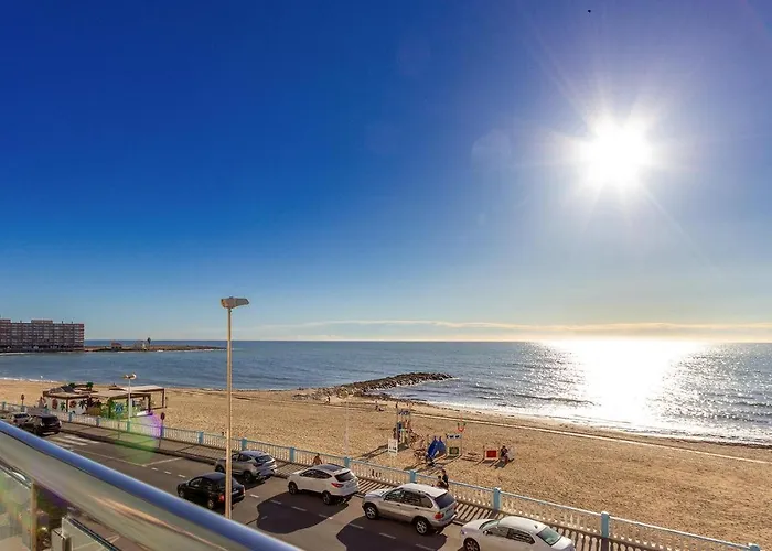 Apartment Pet Friendly In *