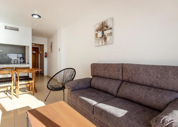 Pet Friendly In Torrevieja